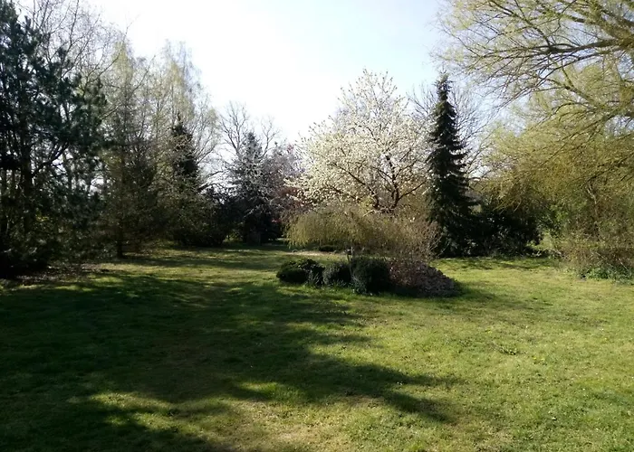 Hotel Leppiner Hof - B&B Fruehstueckspension