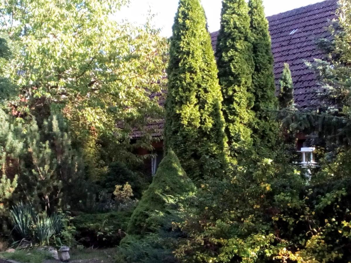 Leppiner Hof - Fruehstueckspension Hotel Arendsee (Altmarkkreis Salzwedel)