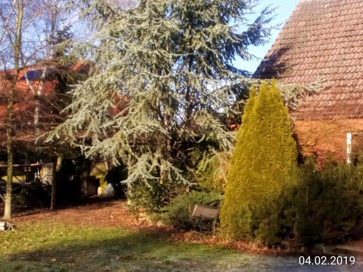 Leppiner Hof - Fruehstueckspension Hotel 3*